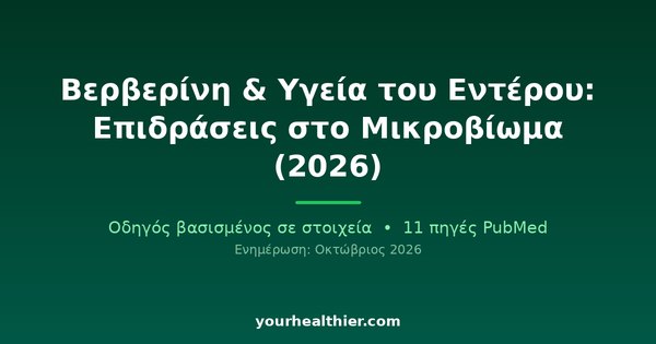 Βερβερίνη & Υγεία του Εντέρου: Επιδράσεις στο Μικροβίωμα (2026)