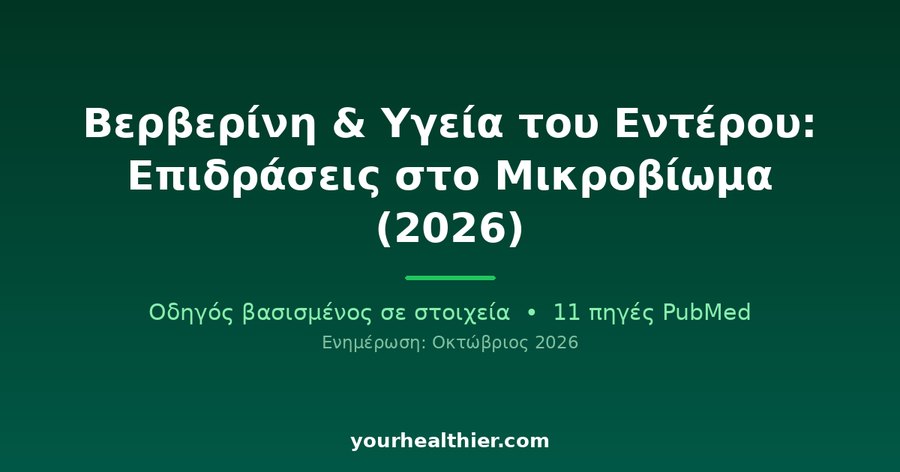 Βερβερίνη & Υγεία του Εντέρου: Επιδράσεις στο Μικροβίωμα (2026)