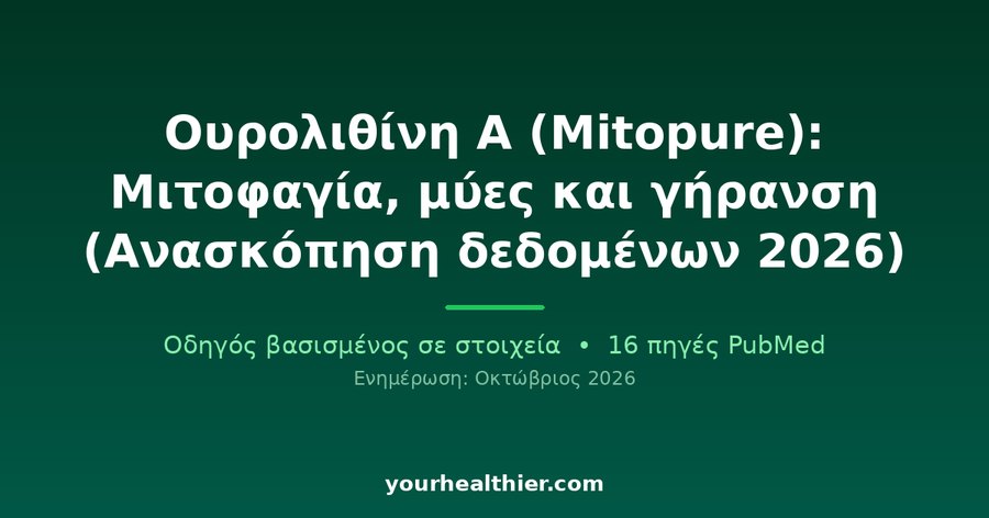 Ουρολιθίνη Α (Mitopure): Μιτοφαγία, μύες και γήρανση (Ανασκόπηση δεδομένων 2026)